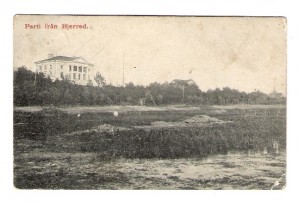 bjerred1910