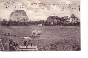 villastaden1905