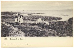 strandparti1906